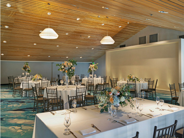 The Belamar Tapestry Collection by Hilton