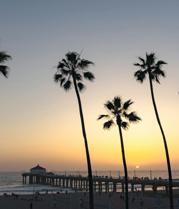 Tall palm trees line a beach at sunset, a wooden pier stretching into the ocean, silhouettes against a warm, fading sky.