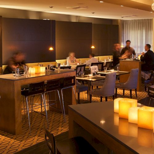 A cozy cafe or bar with warm lighting, wooden shelves, counter seating, and a pitcher or bottle display.