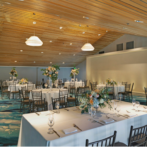 The Belamar Tapestry Collection by Hilton