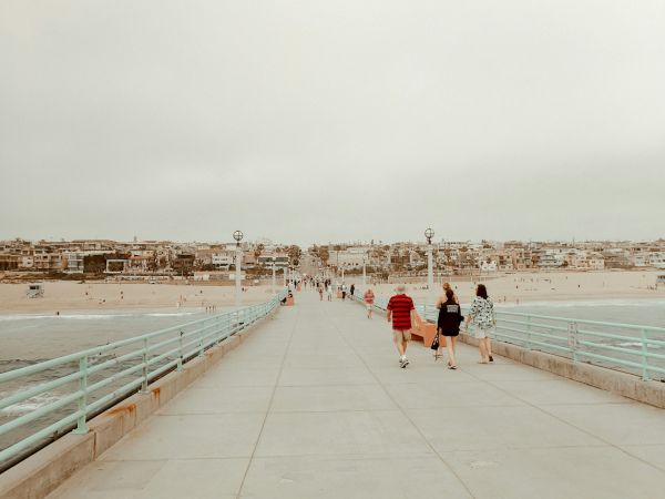 The Belamar Tapestry Collection by Hilton